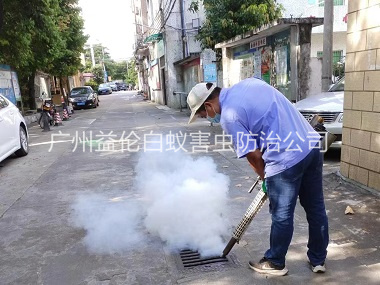 海珠登革熱消殺工程