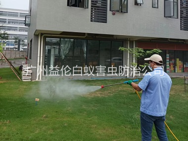 蘿崗蚊蟲(chóng)害消殺工程